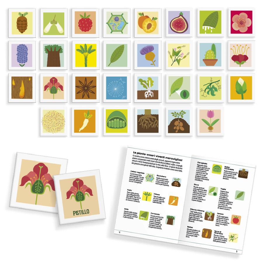Le Labyrinthe Des Plantes - game contents and components
