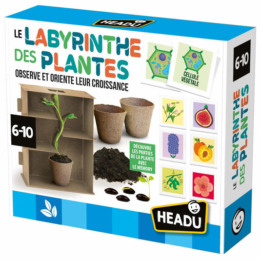 Le Labyrinthe Des Plantes - product box