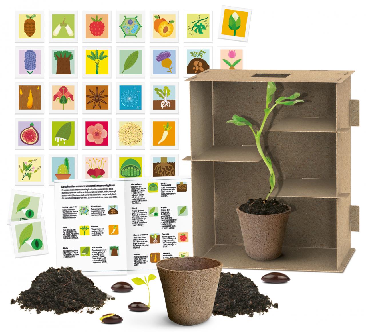 Le Labyrinthe Des Plantes - game contents and components
