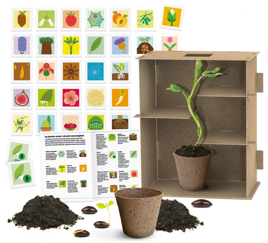 Le Labyrinthe Des Plantes - game contents and components