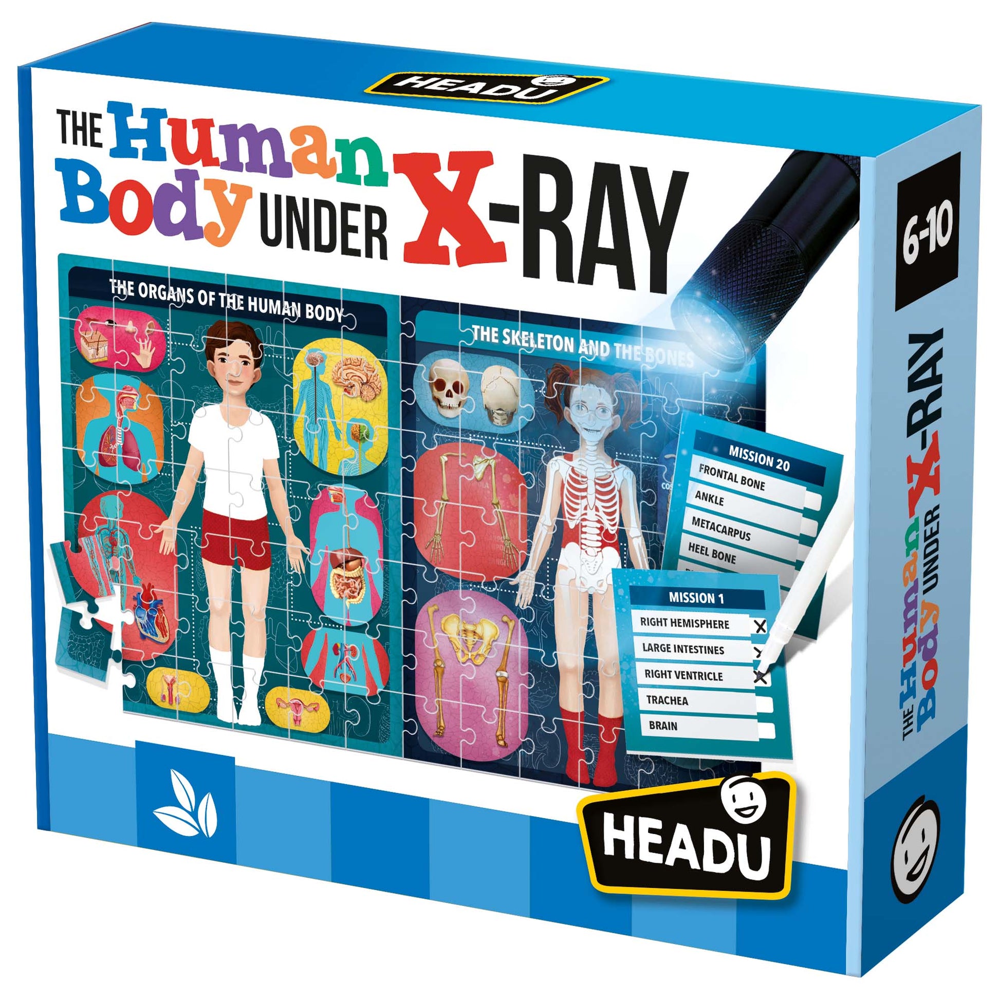 The Human Body Under X-Ray - product box