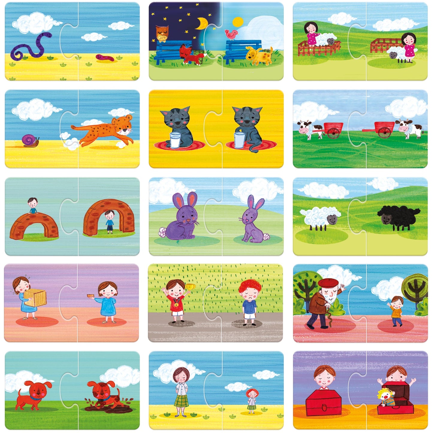 GAME OF OPPOSITES Logic puzzles - game contents and components