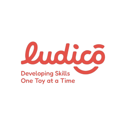 Ludico logo with tagline 'Developing Skills One Toy at a Time' on a white background